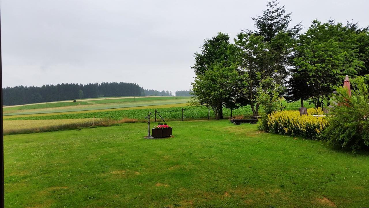 Ferienhof Hoehenluft Bischofsgruen Exterior photo